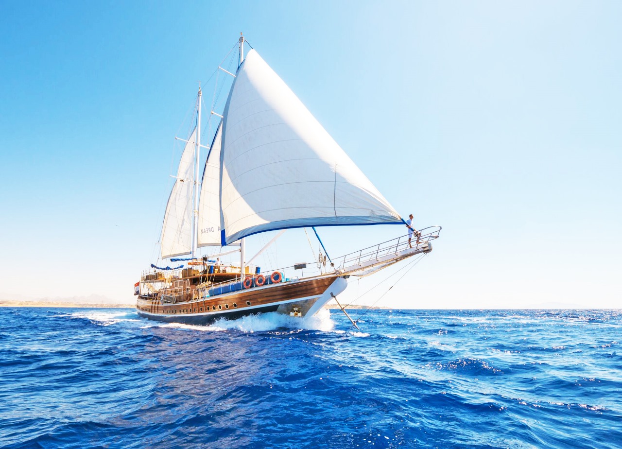 Ras Mohamed Trip on the Pirates Sailboat