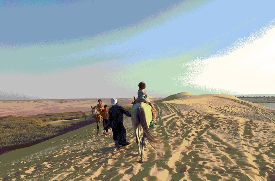 In Fayoum